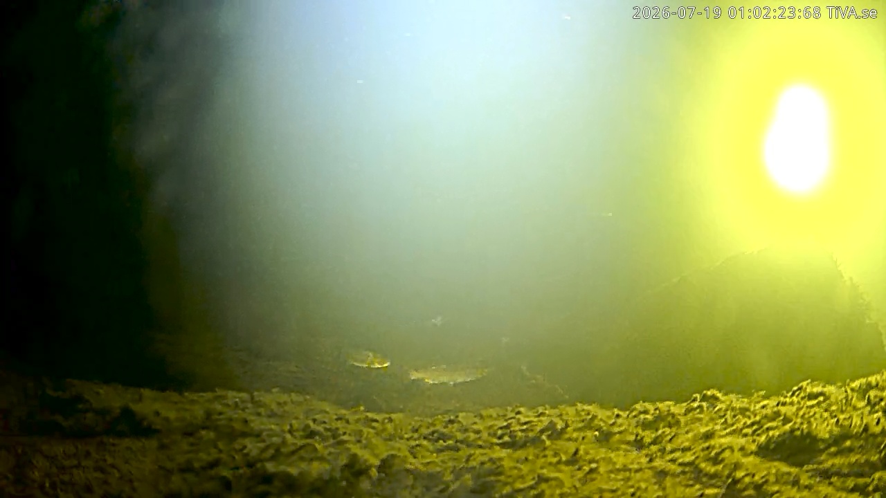 Video 2026-07-19 01:02