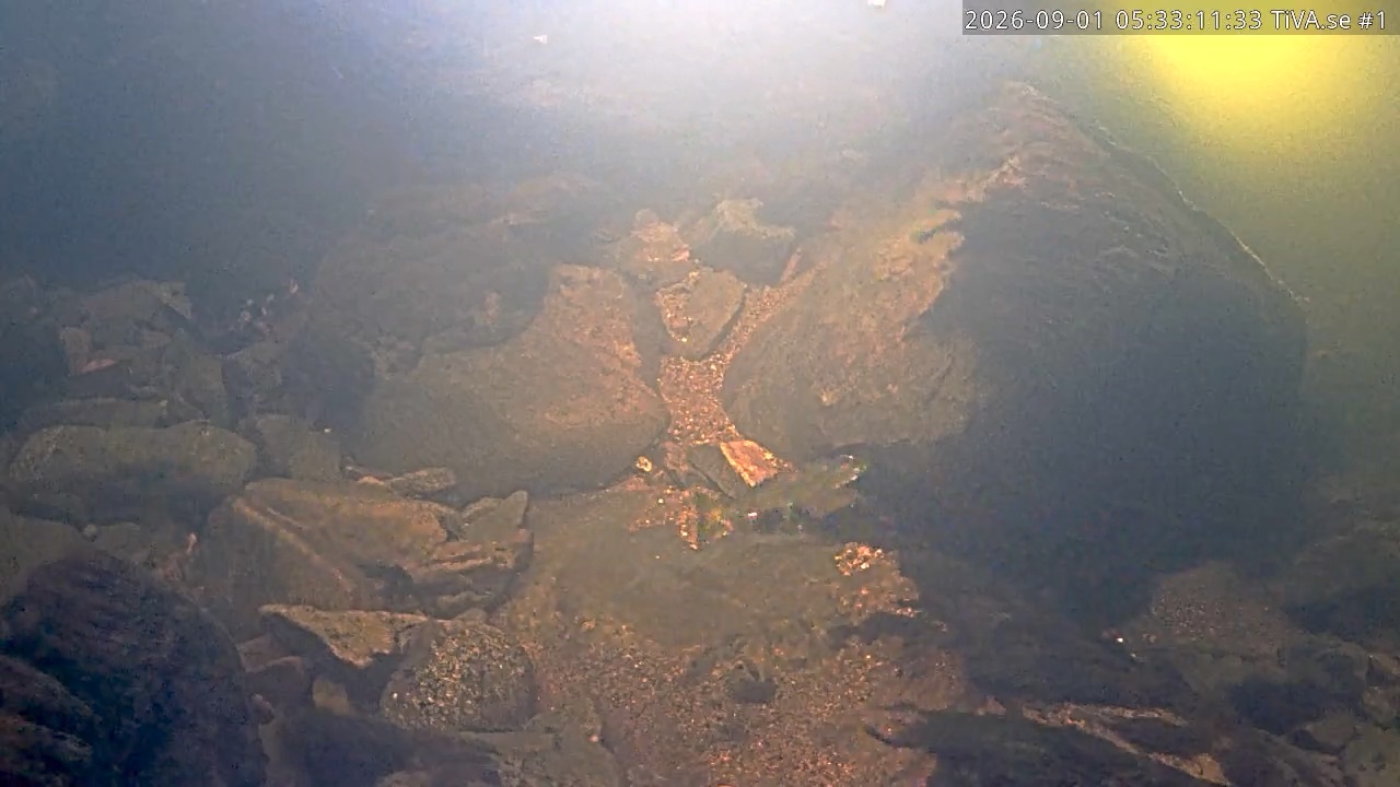 Video 2026-09-01 06:33