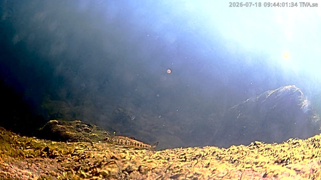 Video 2026-07-18 09:44