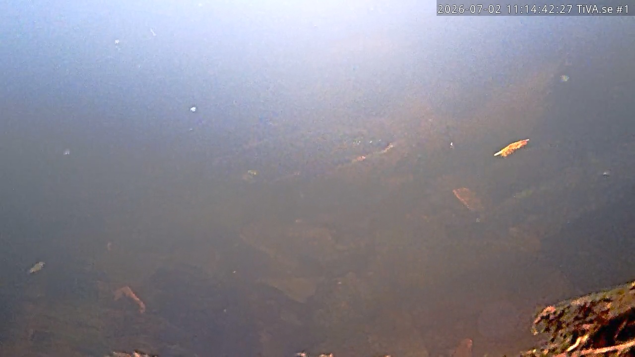 Video 2026-07-02 12:14