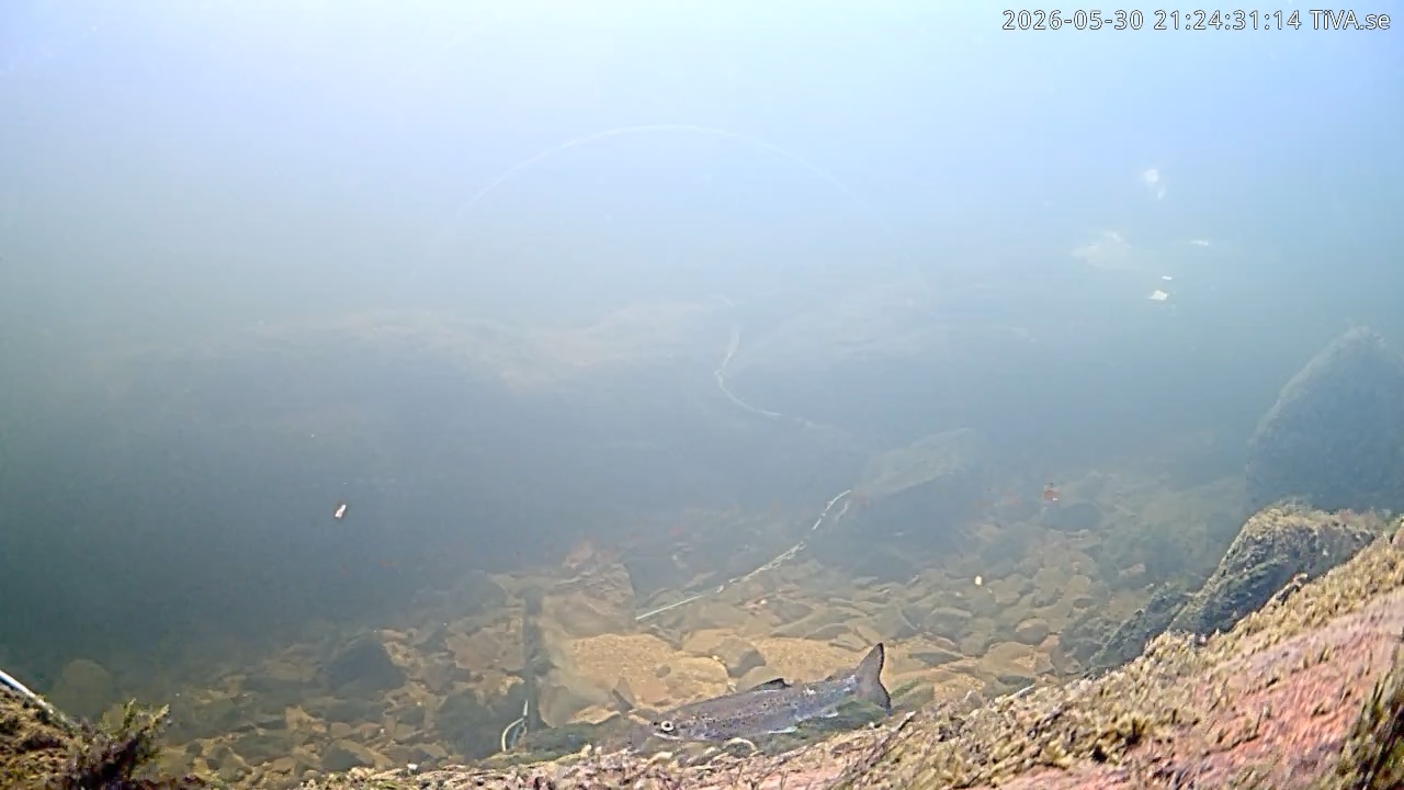 Video 2026-05-30 21:24