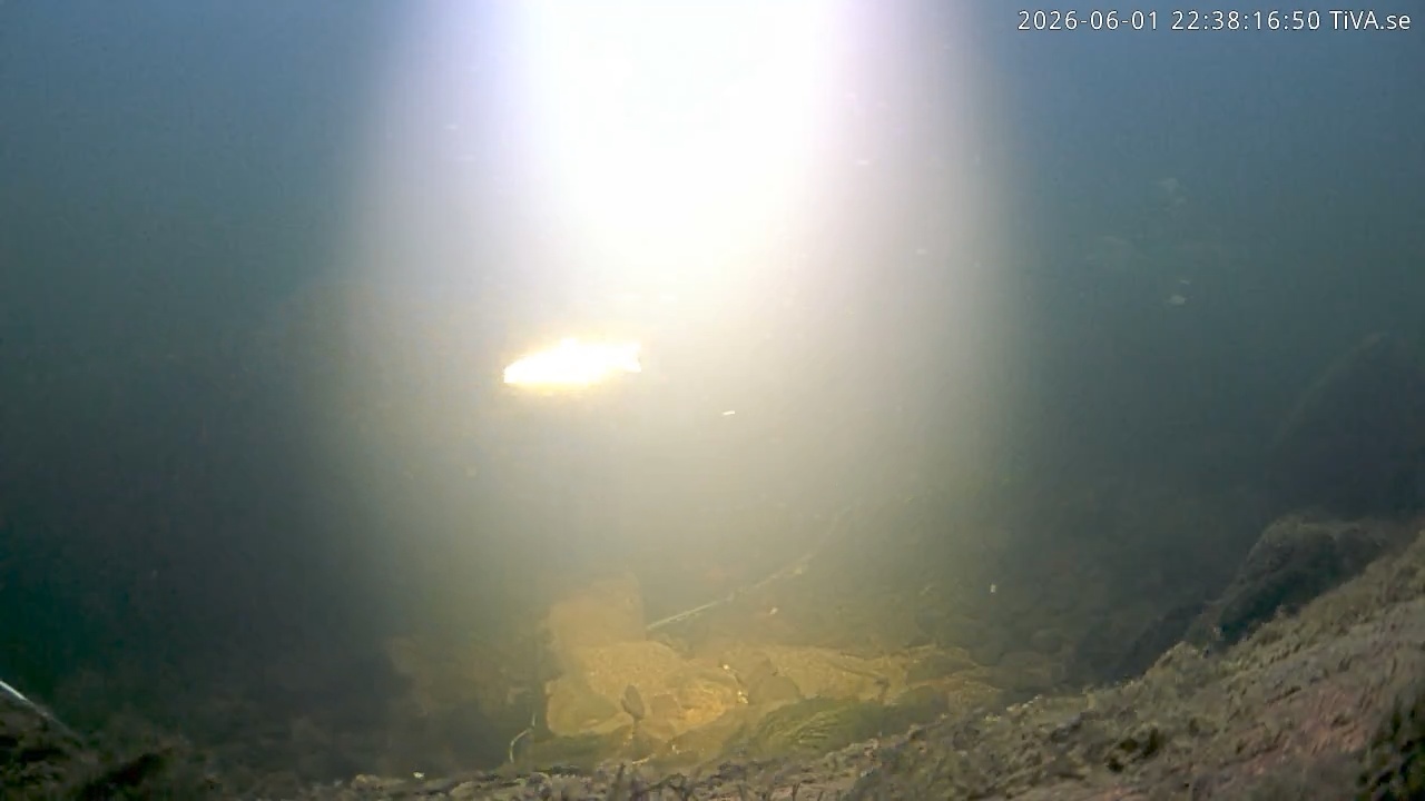 Video 2026-06-01 22:38