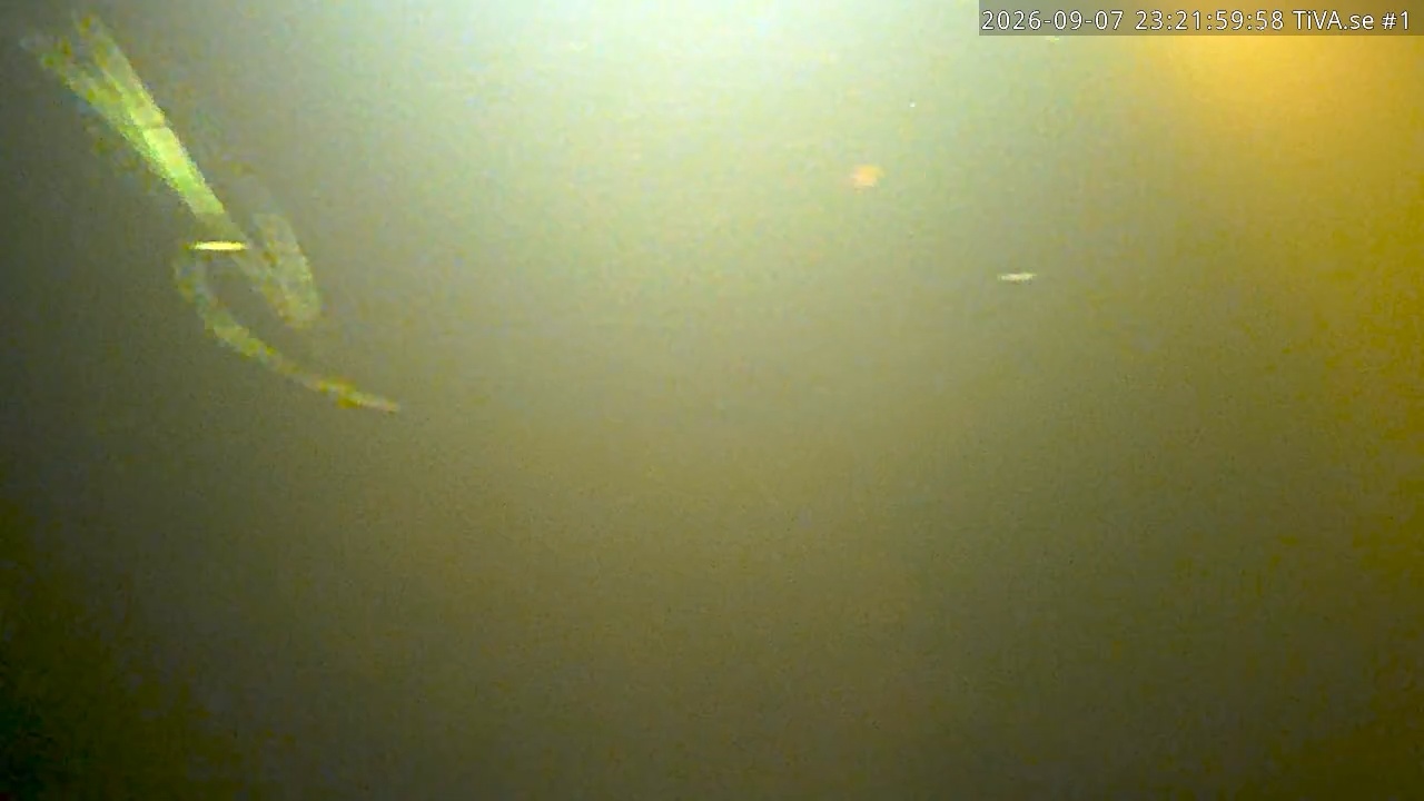 Video 2026-09-08 00:22