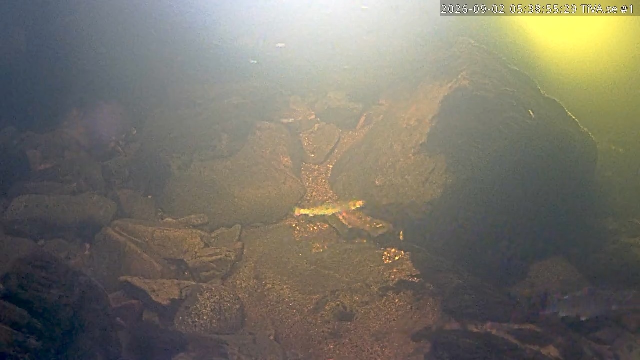 Video 2026-09-02 06:39