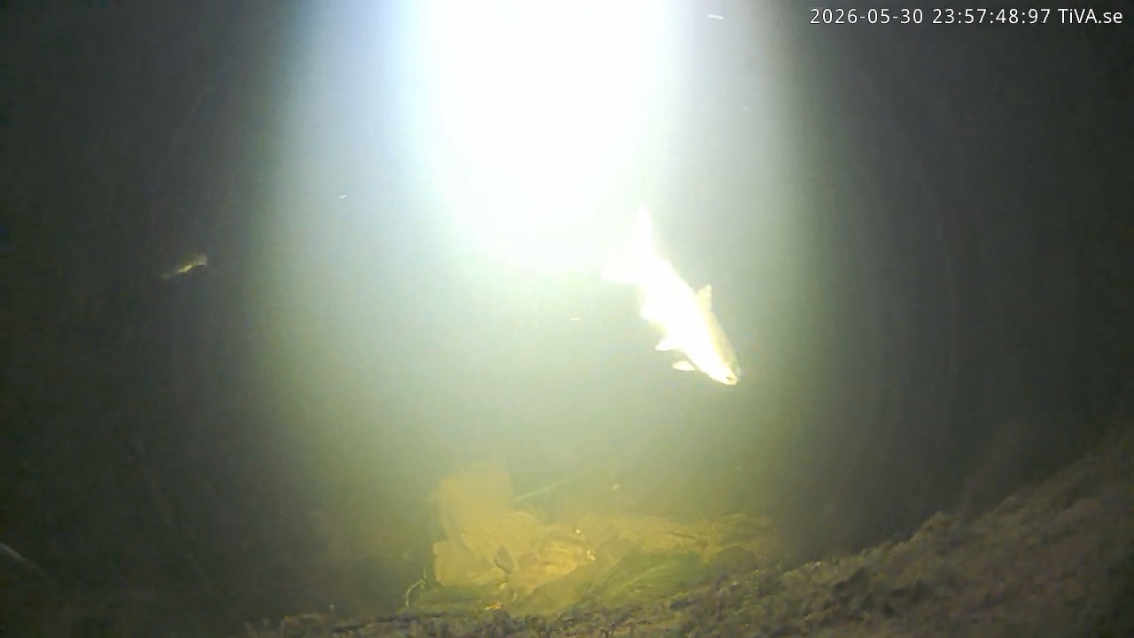 Video 2026-05-30 23:57