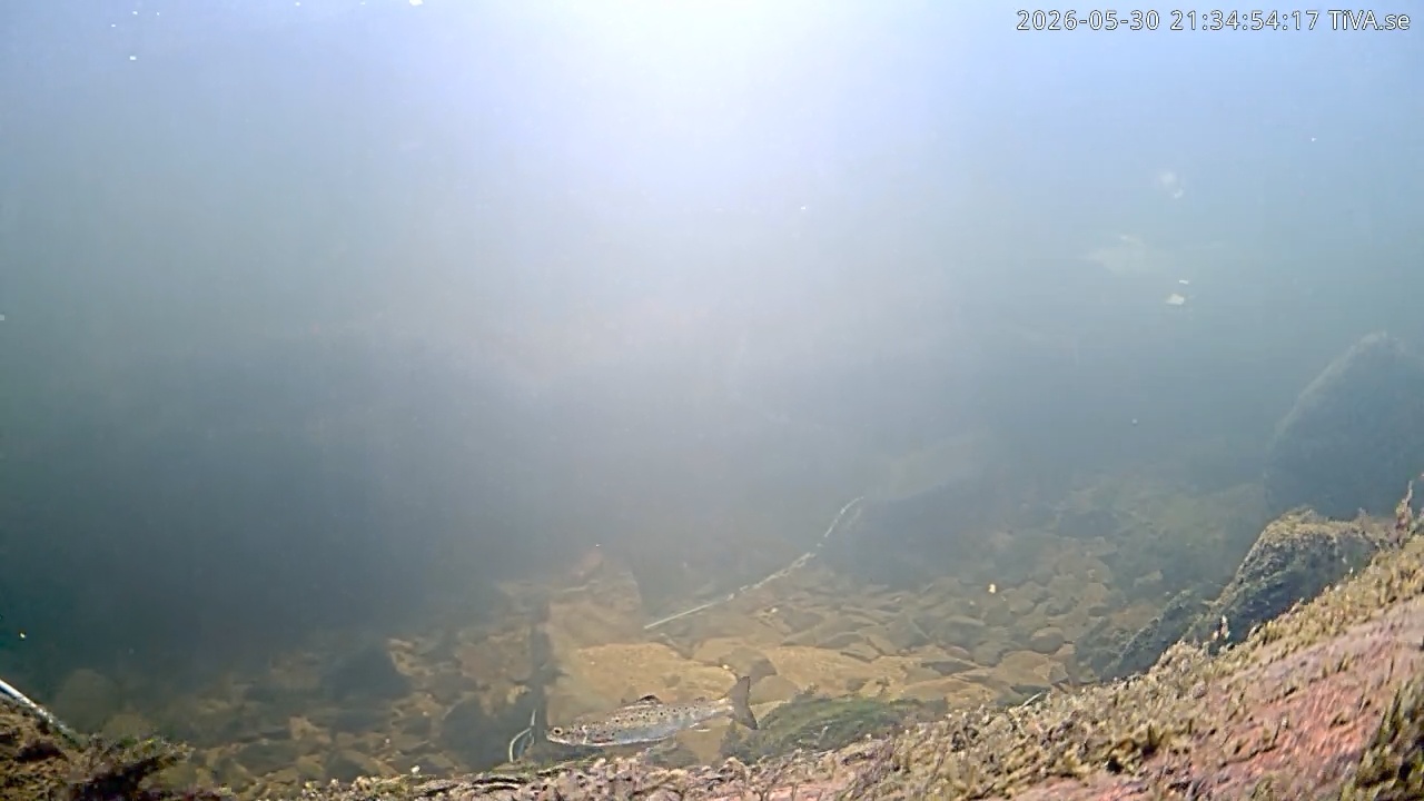 Video 2026-05-30 21:35