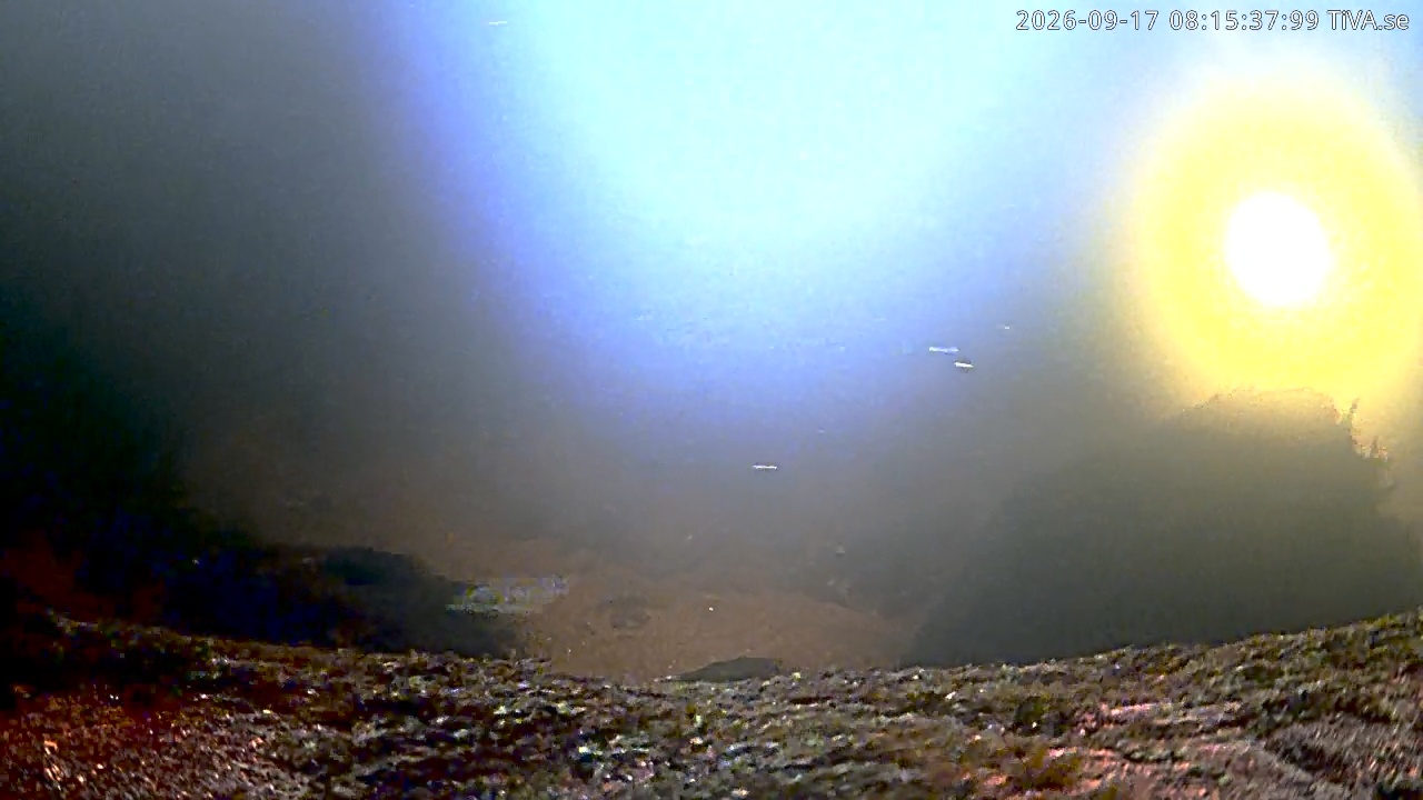Video 2026-09-17 08:15