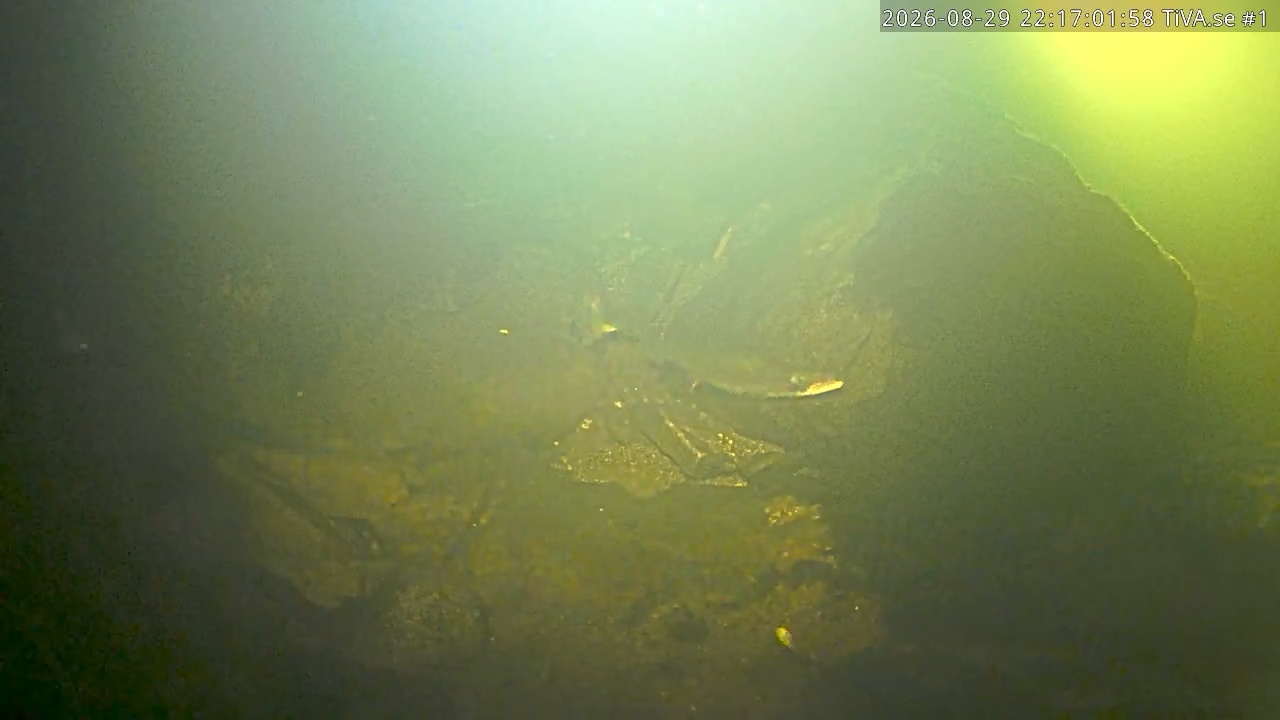 Video 2026-08-29 23:17