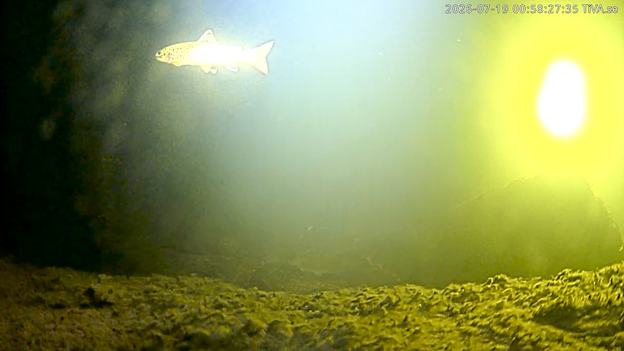 Video 2026-07-19 00:58