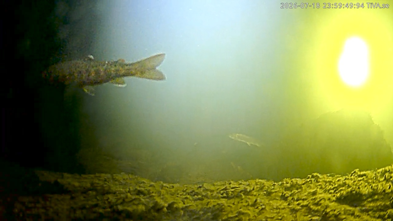 Video 2026-07-18 23:59