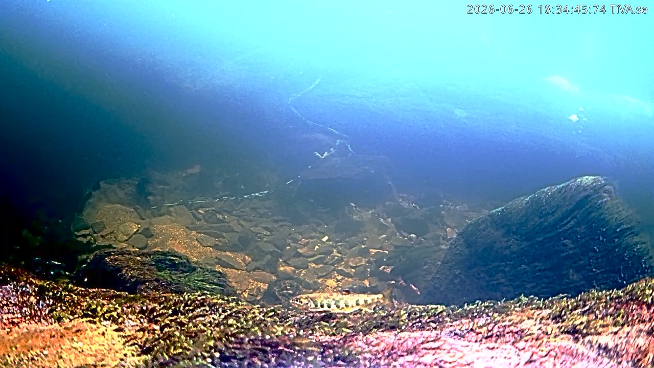 Video 2026-06-26 18:34
