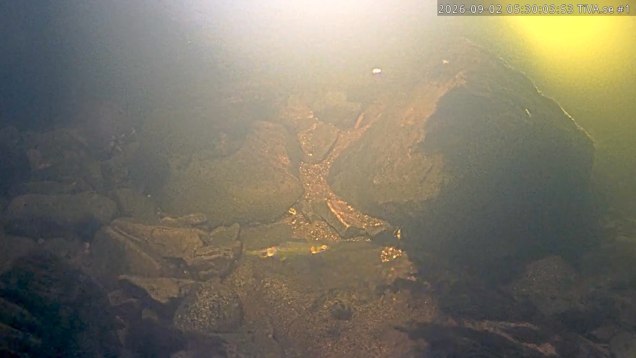 Video 2026-09-02 06:30