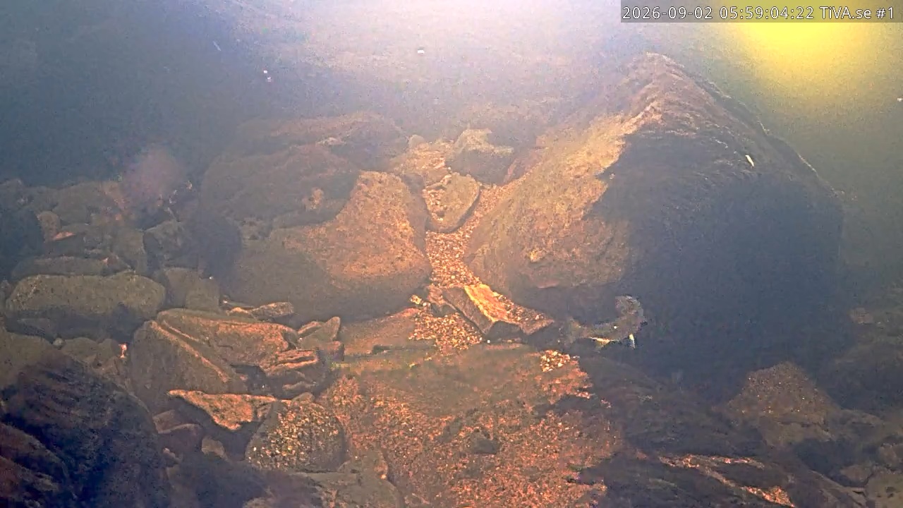 Video 2026-09-02 06:59