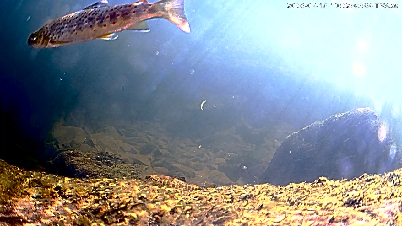 Video 2026-07-18 10:22