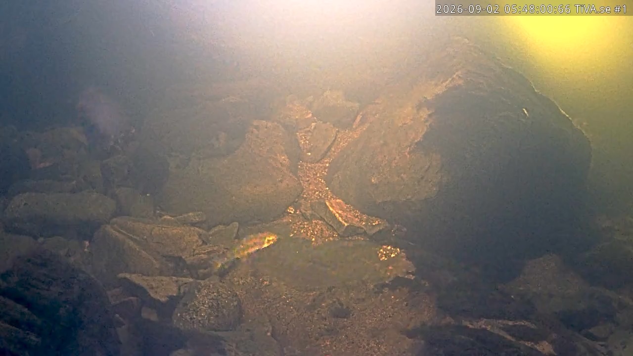 Video 2026-09-02 06:48