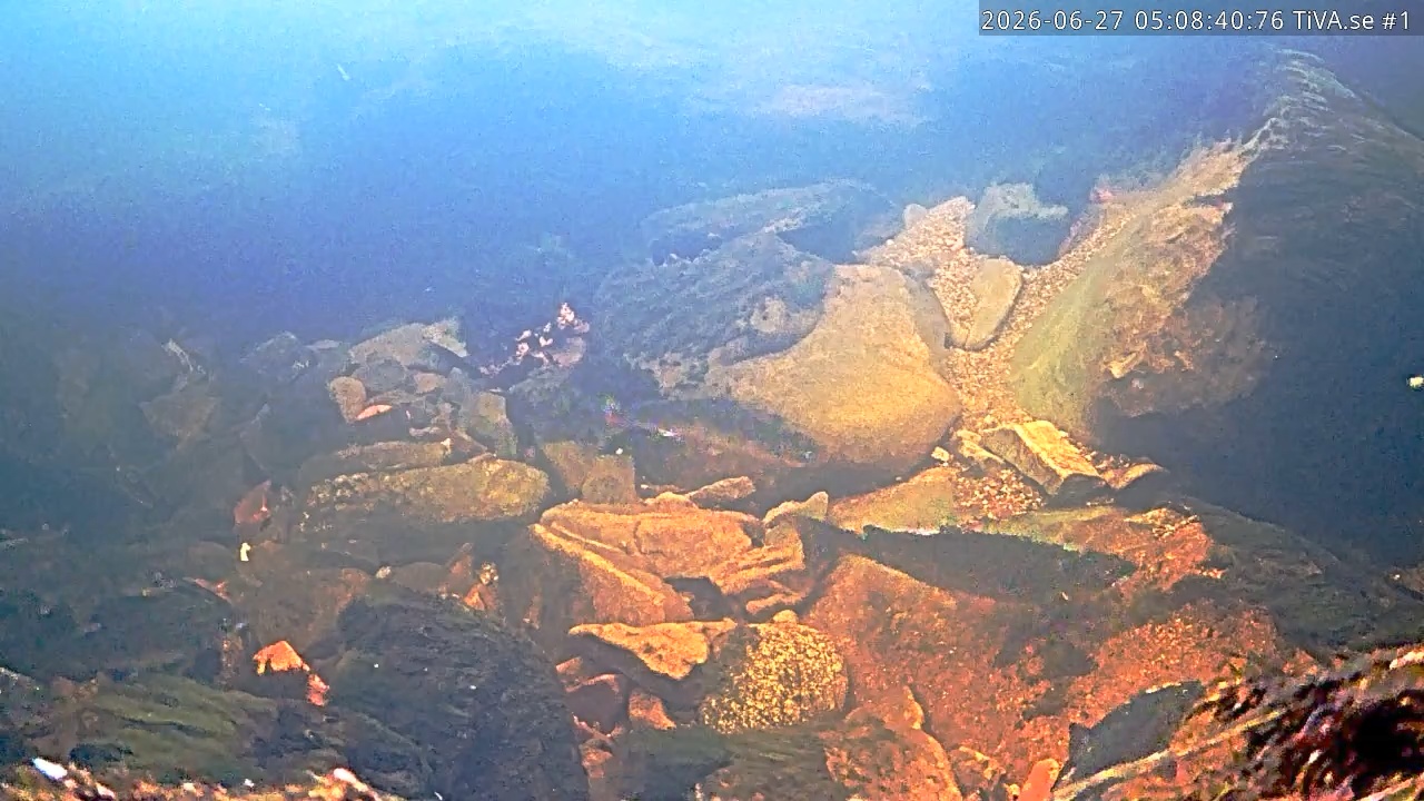 Video 2026-06-27 06:08