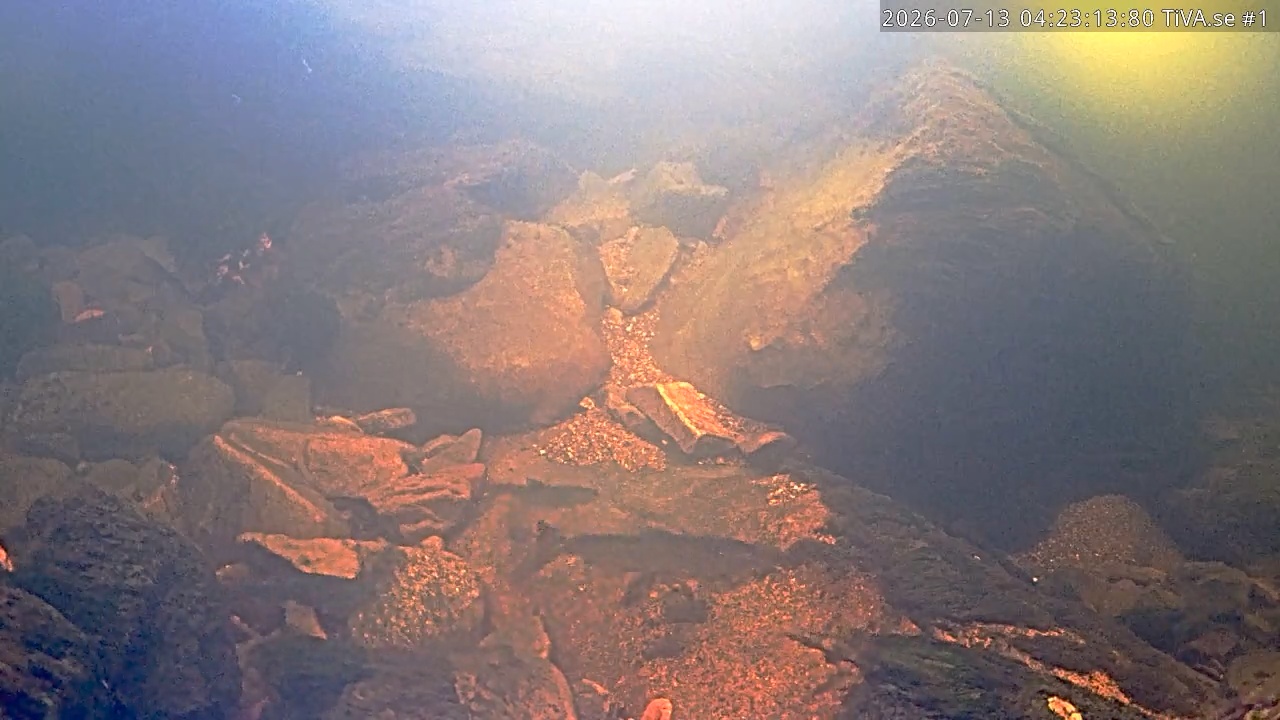 Video 2026-07-13 05:23