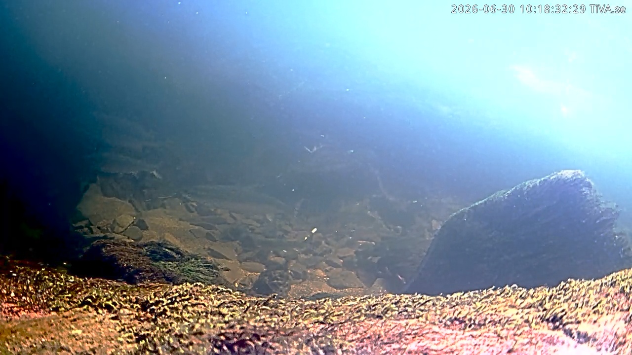 Video 2026-06-30 10:18