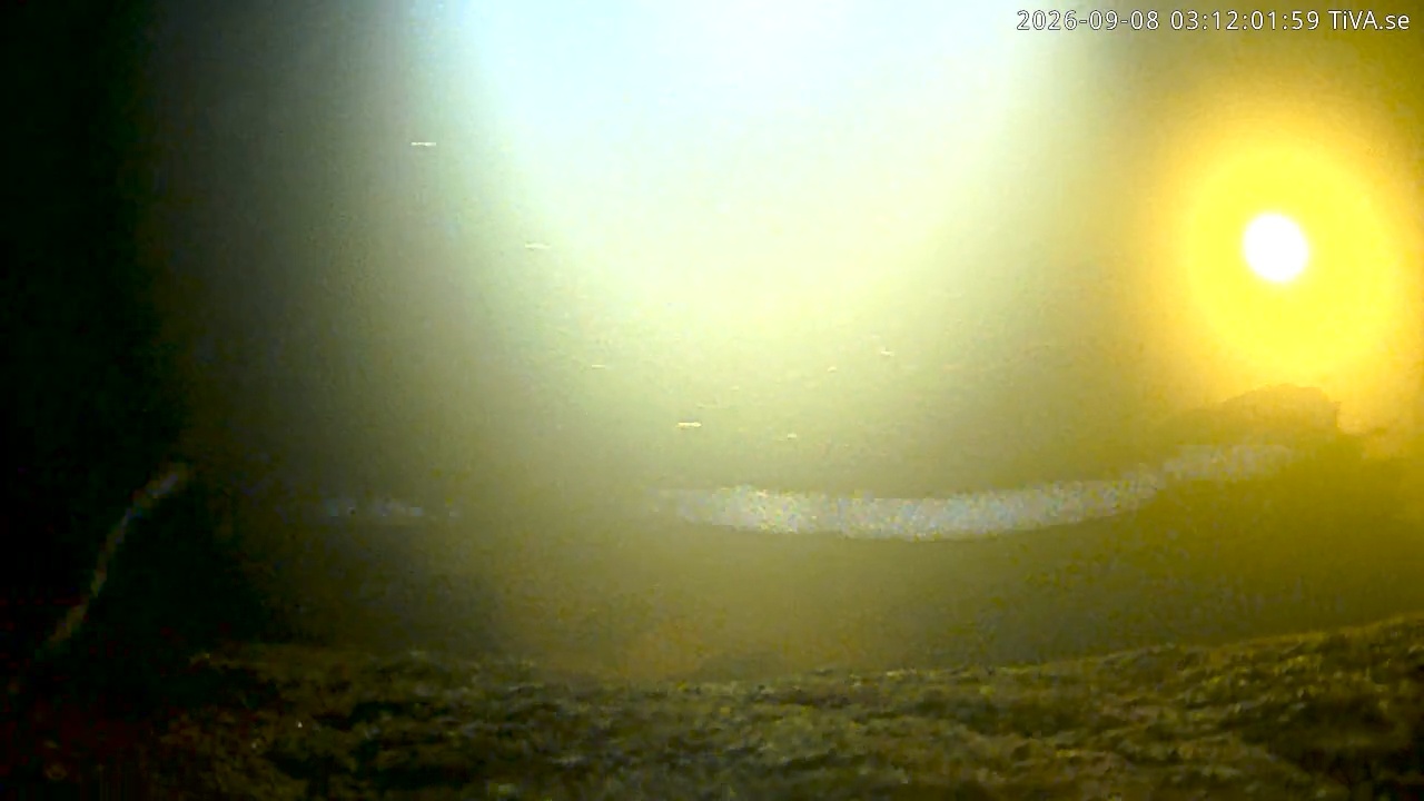 Video 2026-09-08 03:12