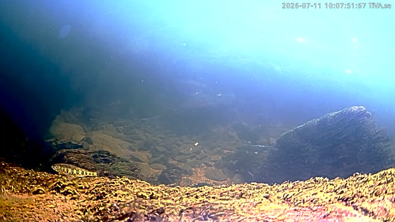 Video 2026-07-11 10:07