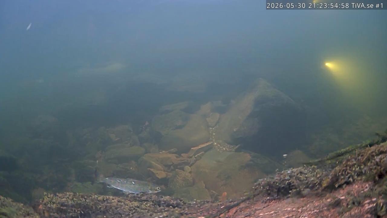 Video 2026-05-30 22:23