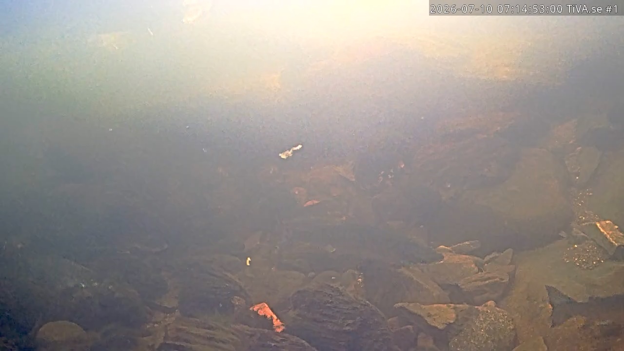 Video 2026-07-10 08:15