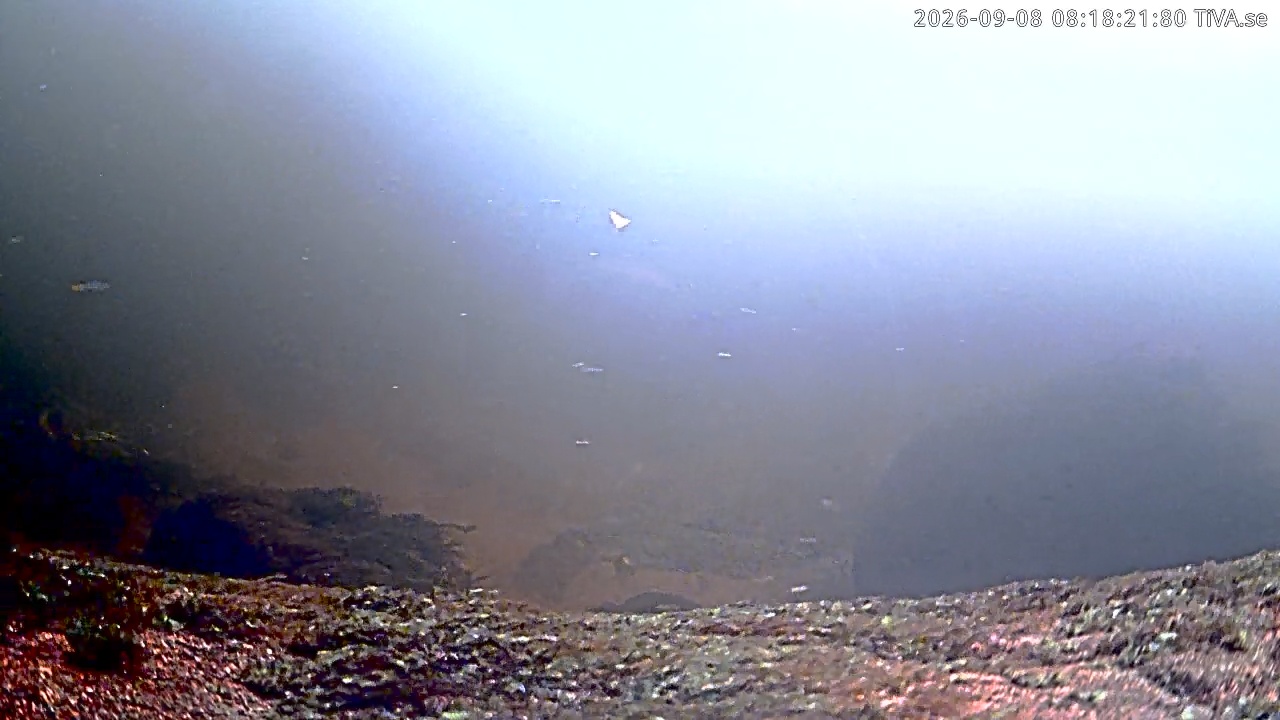 Video 2026-09-08 08:18
