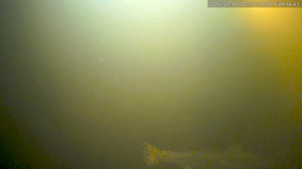 Video 2026-09-08 03:37