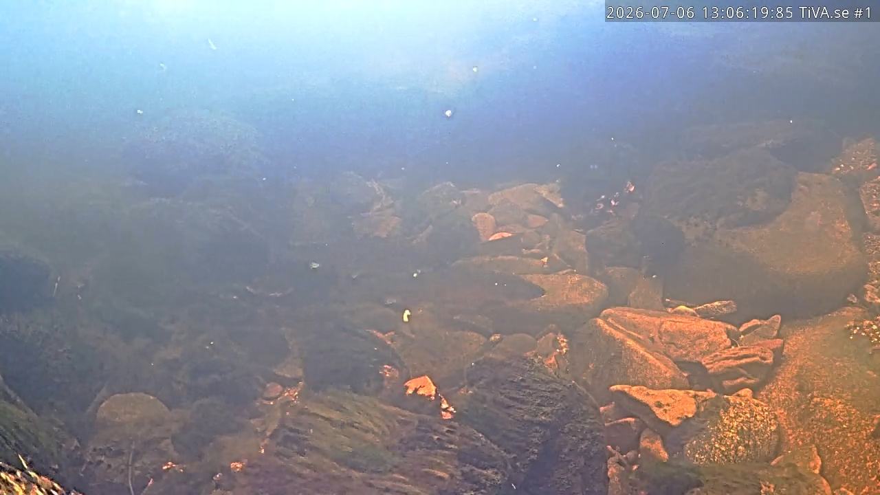 Video 2026-07-06 14:06