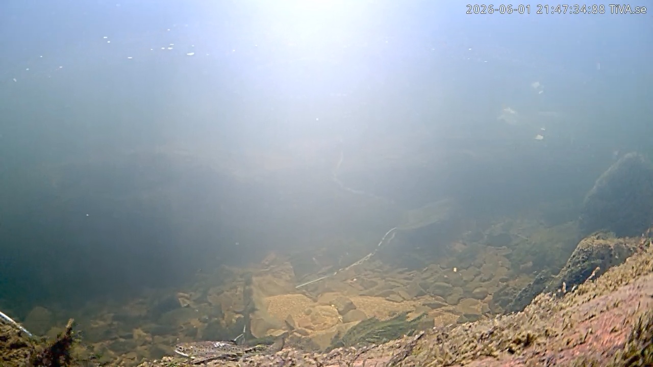 Video 2026-06-01 21:47