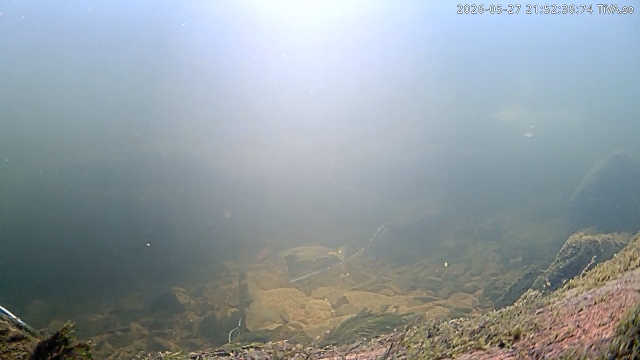 Video 2026-05-27 21:52