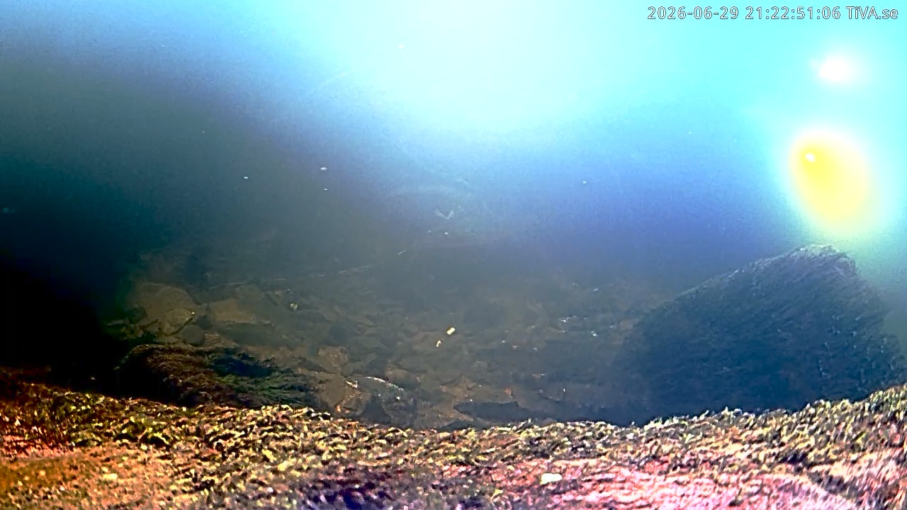 Video 2026-06-29 21:22