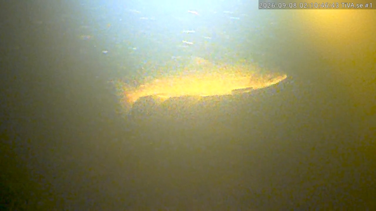 Video 2026-09-08 03:10