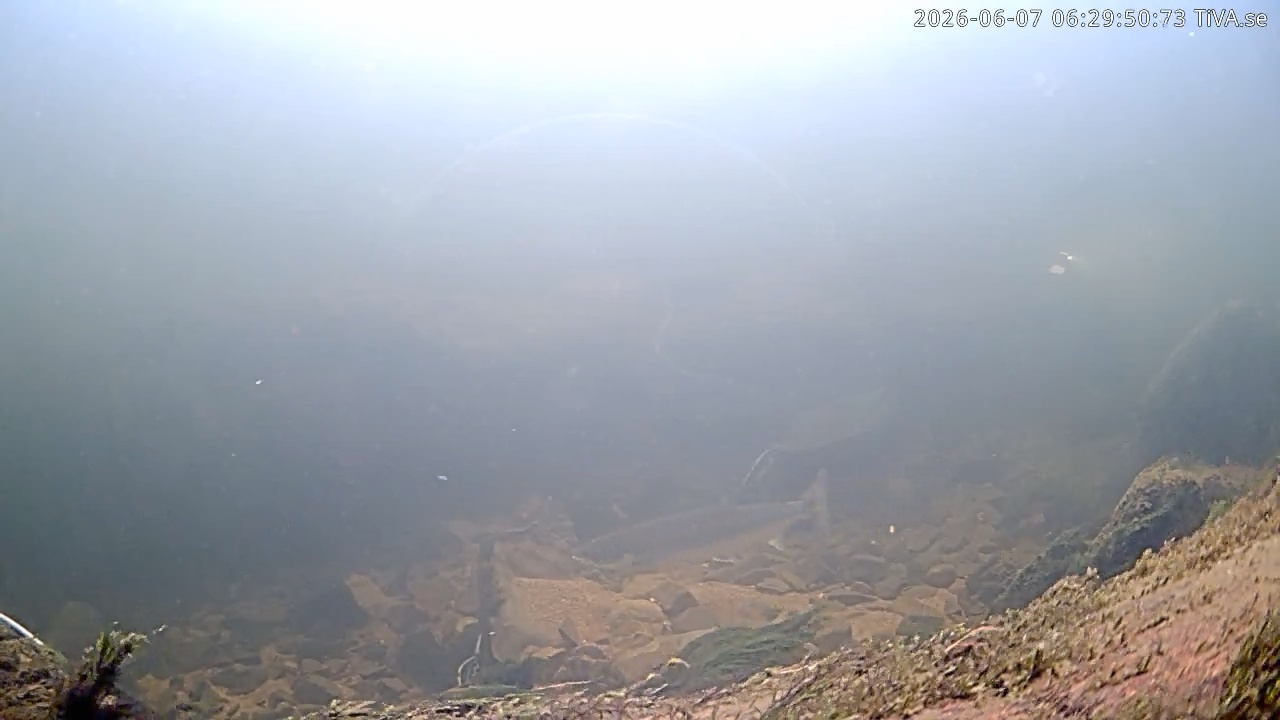 Video 2026-06-07 06:29