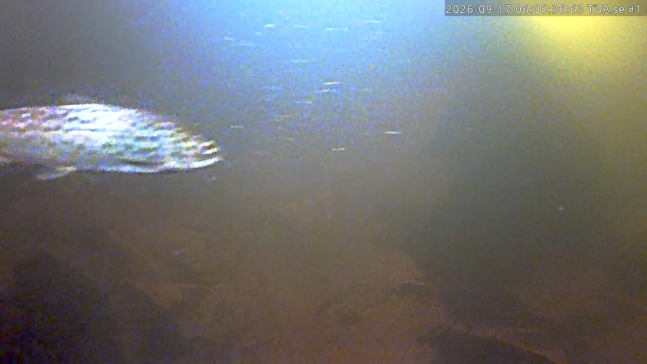 Video 2026-09-17 07:05