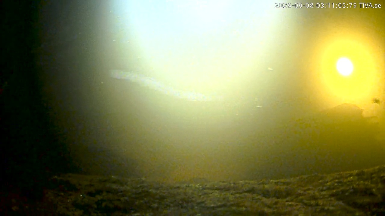 Video 2026-09-08 03:11