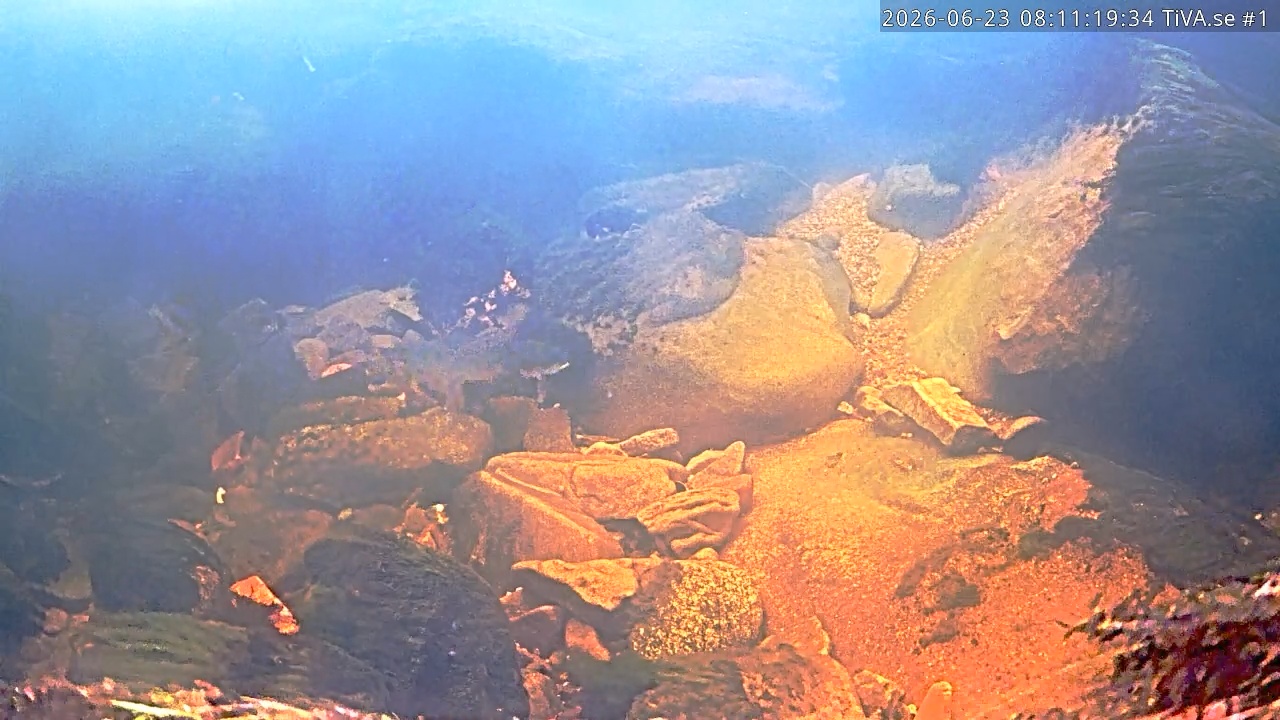 Video 2026-06-23 09:11