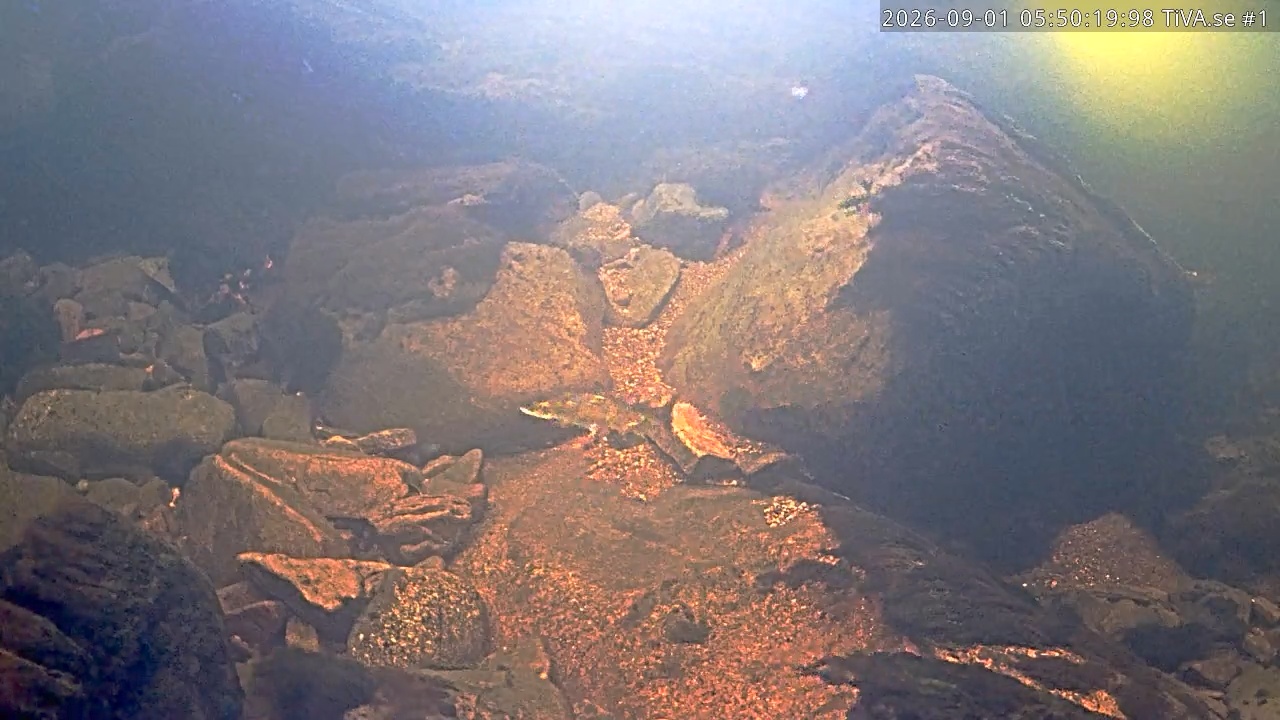 Video 2026-09-01 06:50