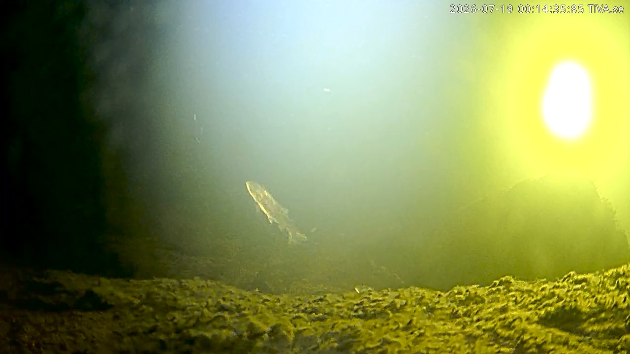 Video 2026-07-19 00:14