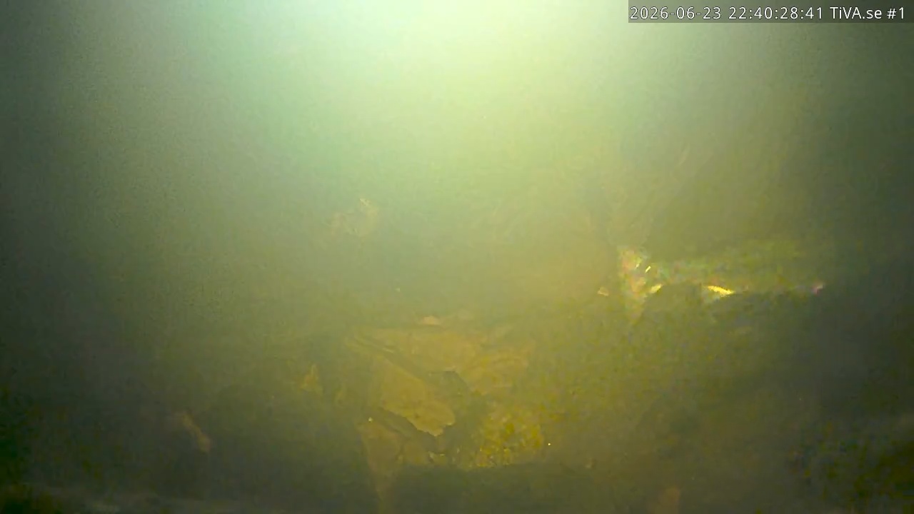 Video 2026-06-23 23:40