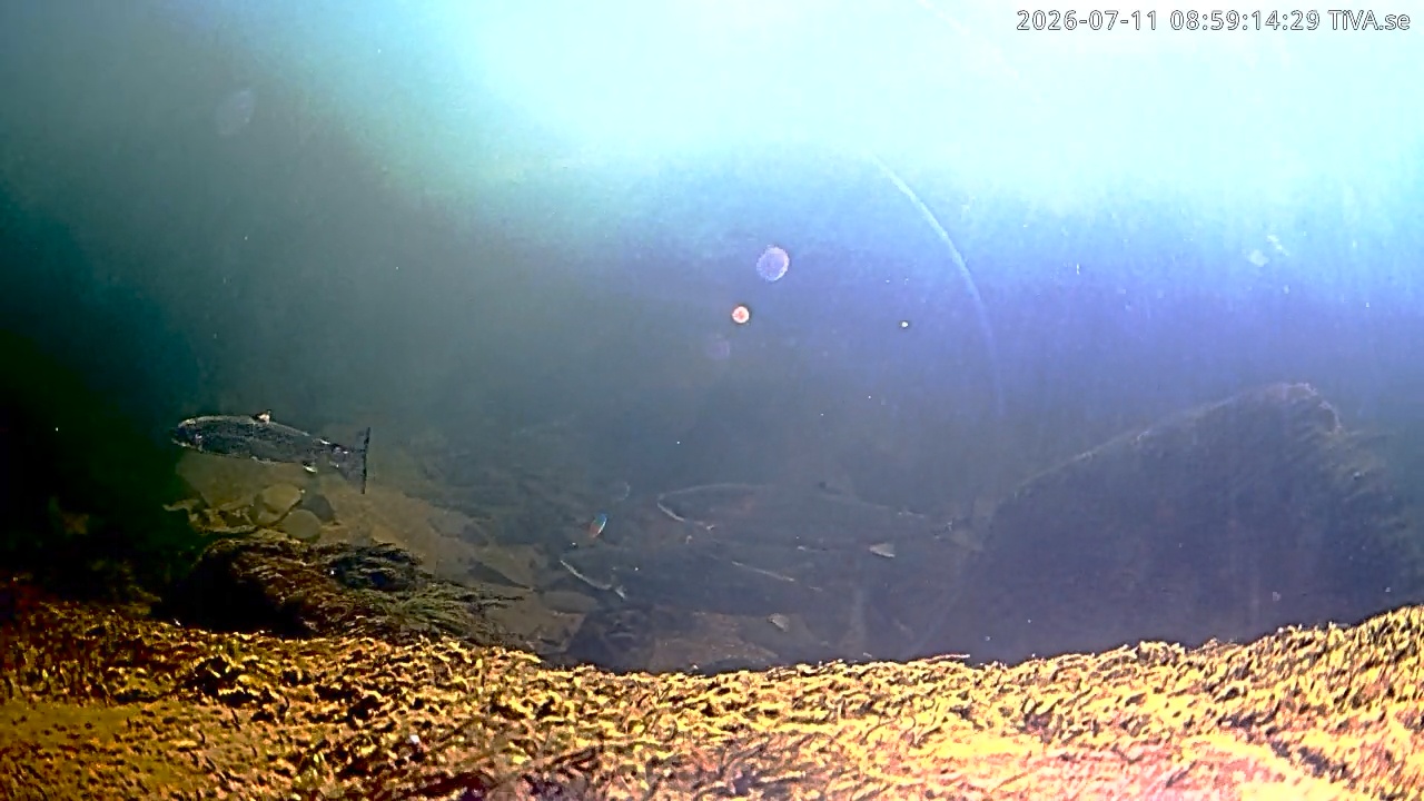 Video 2026-07-11 08:59