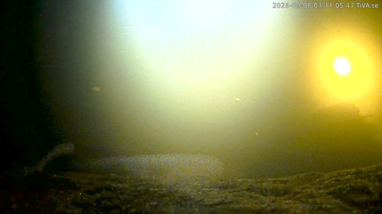 Video 2026-09-08 03:11