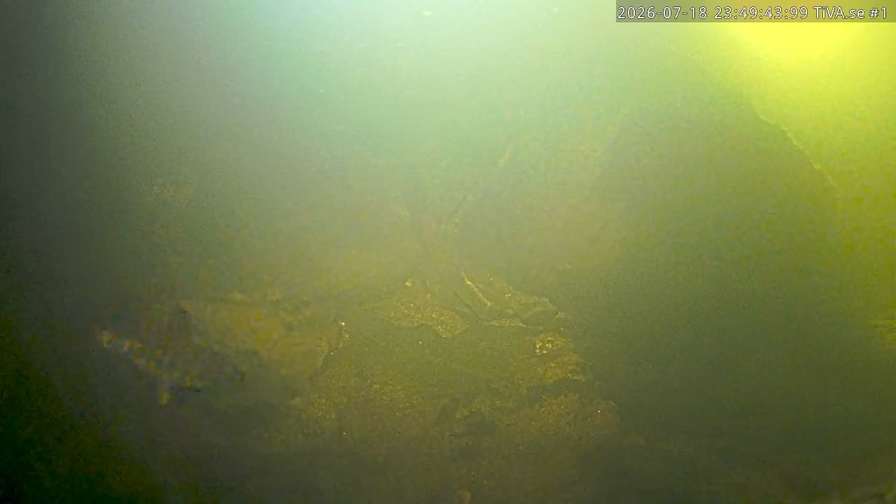 Video 2026-07-19 00:49