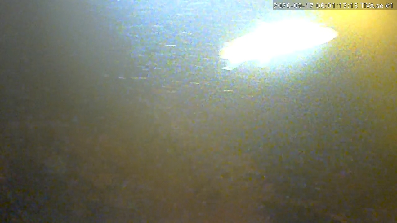 Video 2026-09-17 07:01
