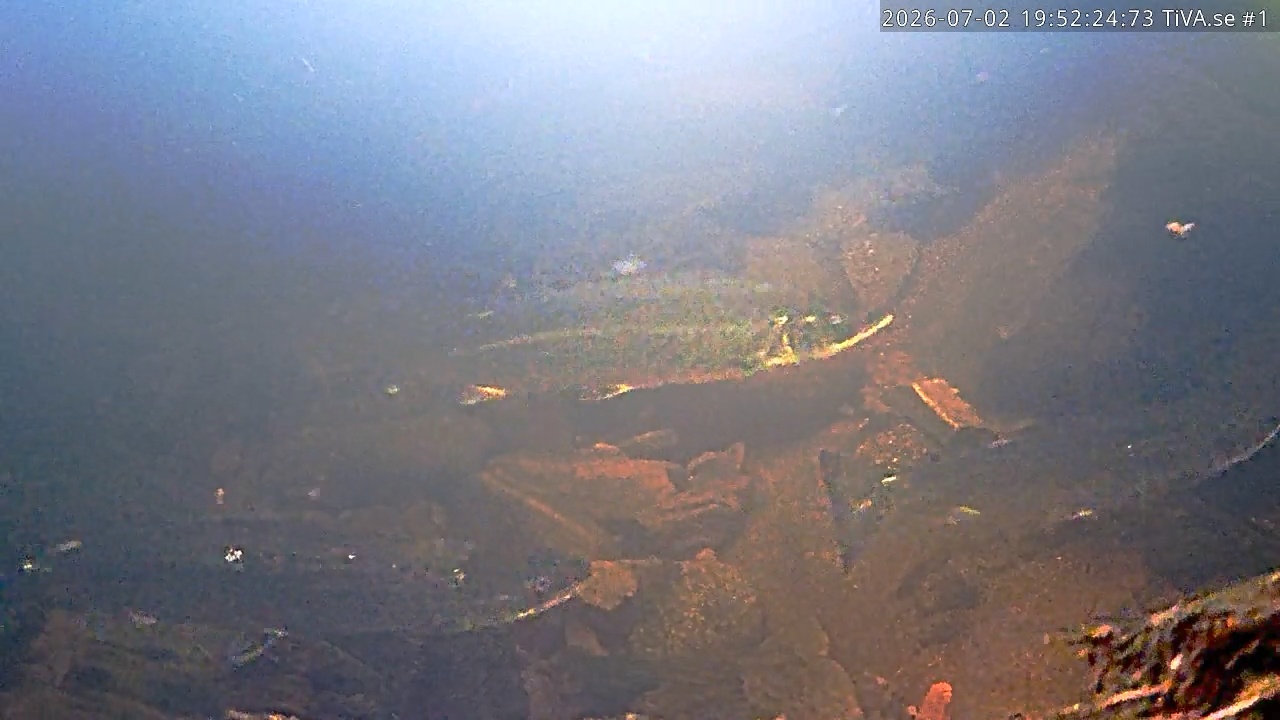 Video 2026-07-02 20:52