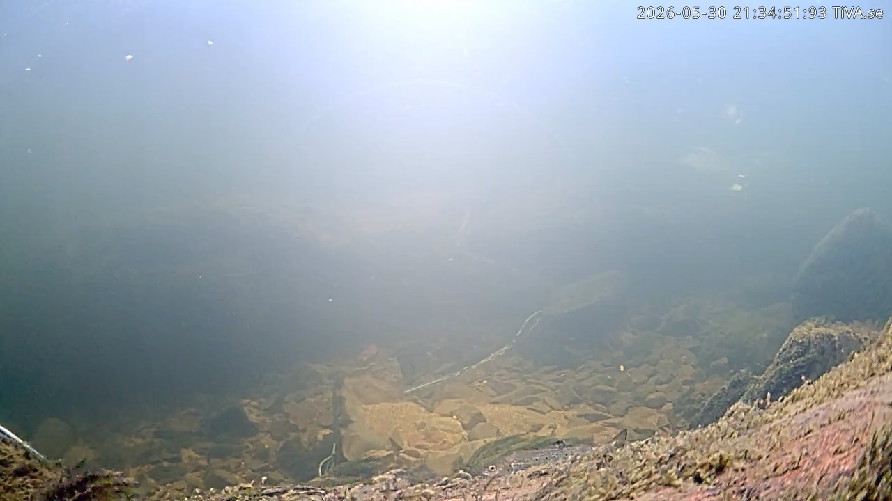 Video 2026-05-30 21:34