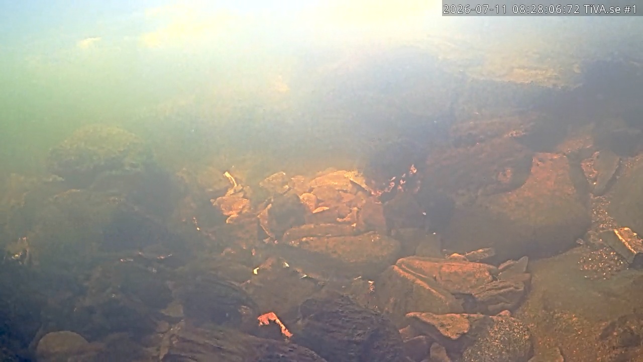 Video 2026-07-11 09:28