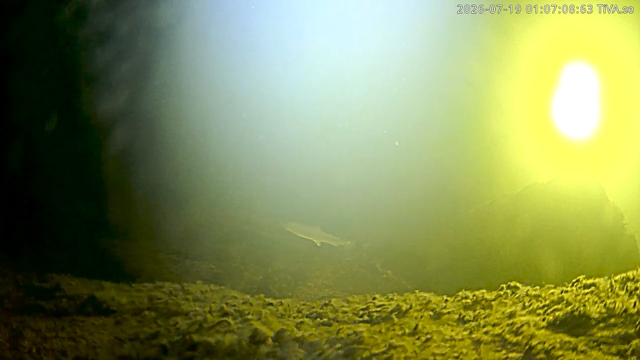 Video 2026-07-19 01:07