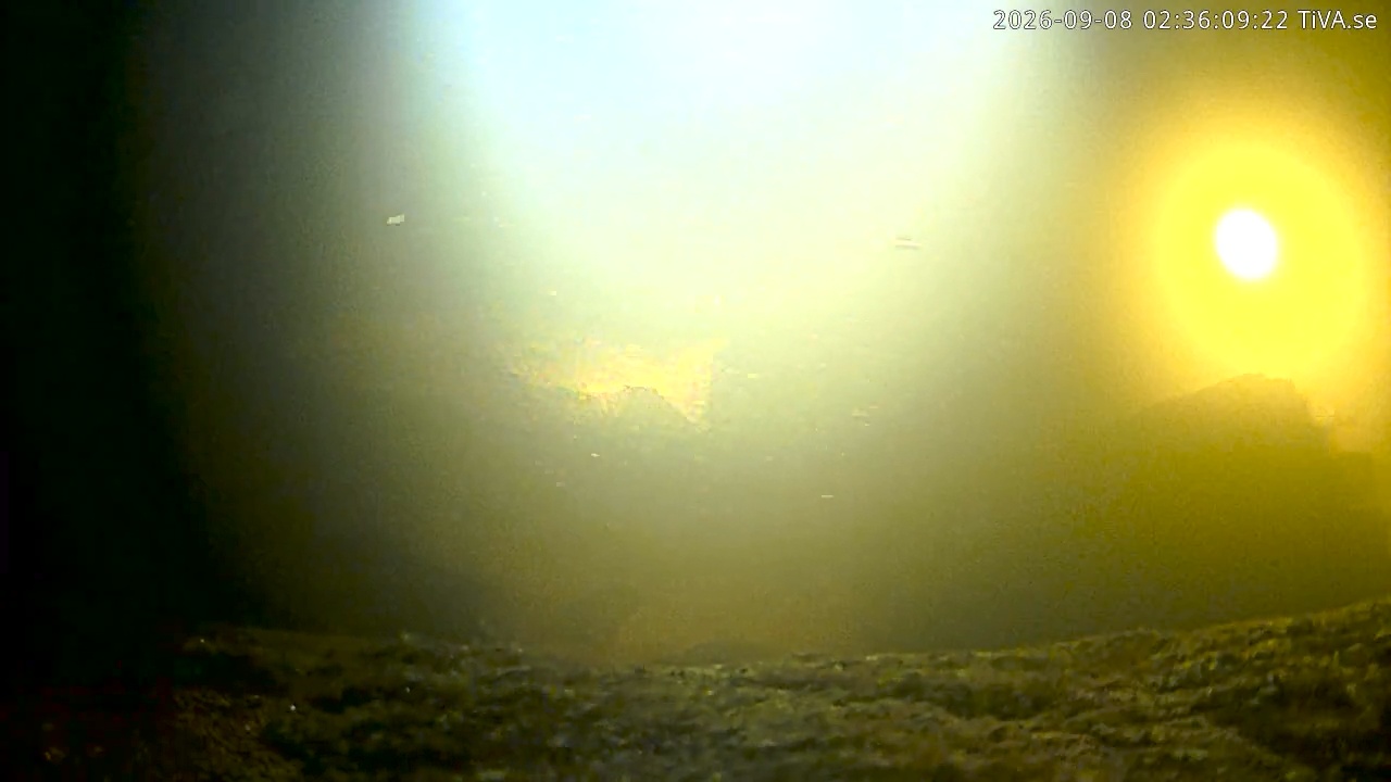 Video 2026-09-08 02:36