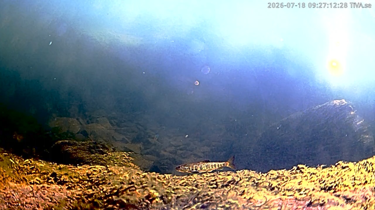 Video 2026-07-18 09:27